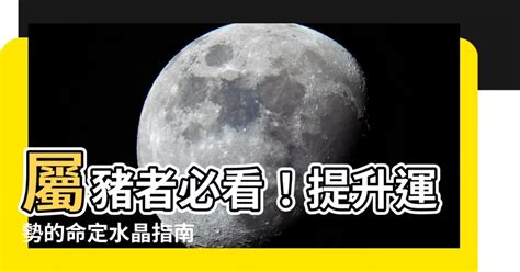 屬豬適合方位|【屬豬房子座向】屬豬人絕不能錯過的房子座向引路術：找到你的。